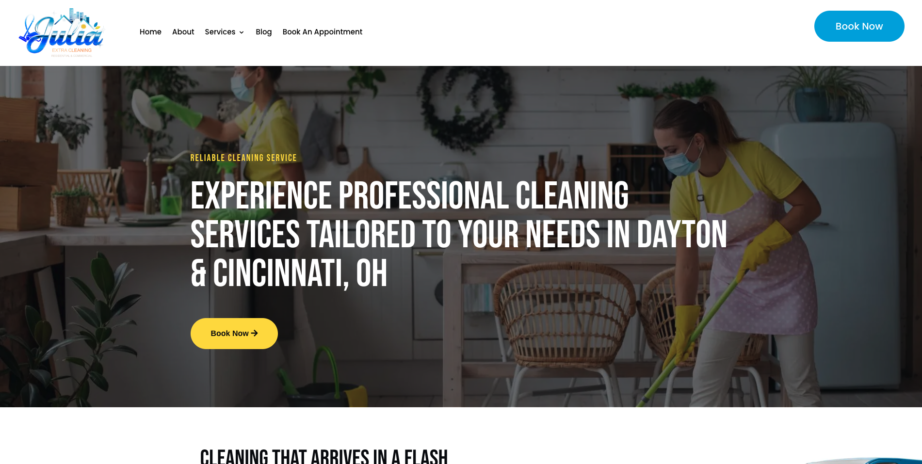 Professional Home Cleaning
